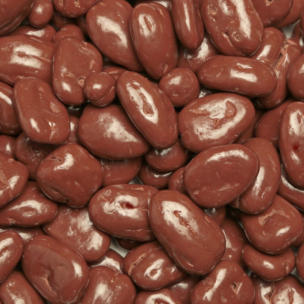 Milk Chocolate Pecans 8 oz