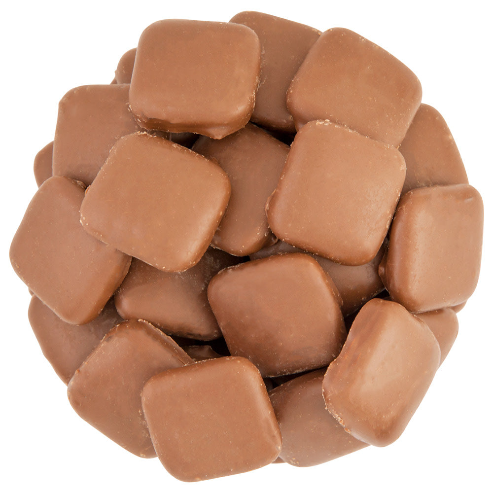 Milk Choc Covered Graham Crackers 7 oz