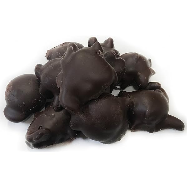 Dark Chocolate Clusters Caramel Nut 9 oz