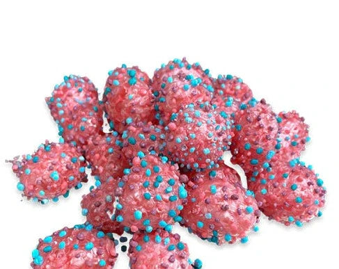 Freeze Dried Wild Berry Nerd Clusters 1.4 oz