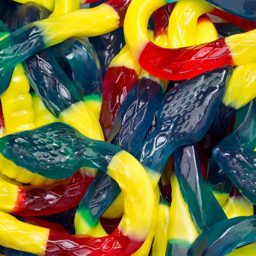 Gummy Giant Rattlesnake 12 oz – Sweetz & More