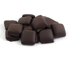 Dark Chocolate Covered Graham Crackers 7 oz