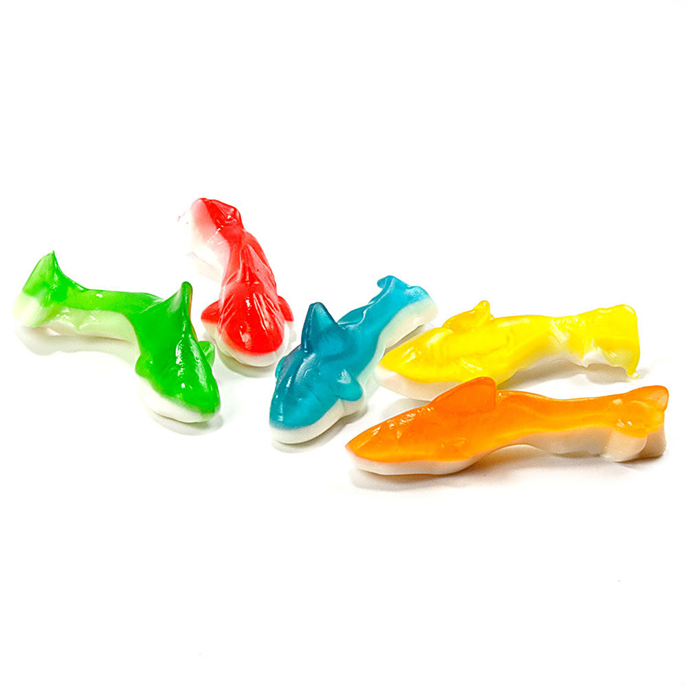 Gummy Sand Shark 12 oz